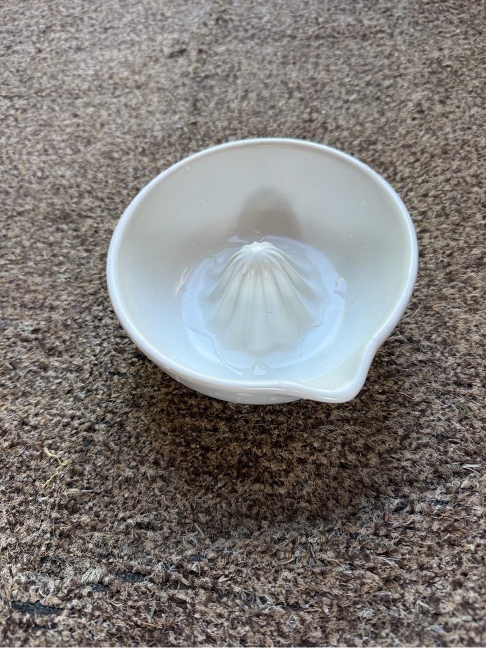 Ceramic Citrus Juicer Bowl
